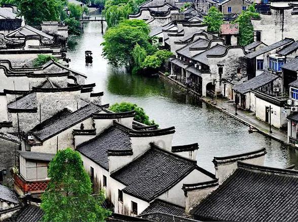 述职评议“交成绩”，深耕党建“责任田”！